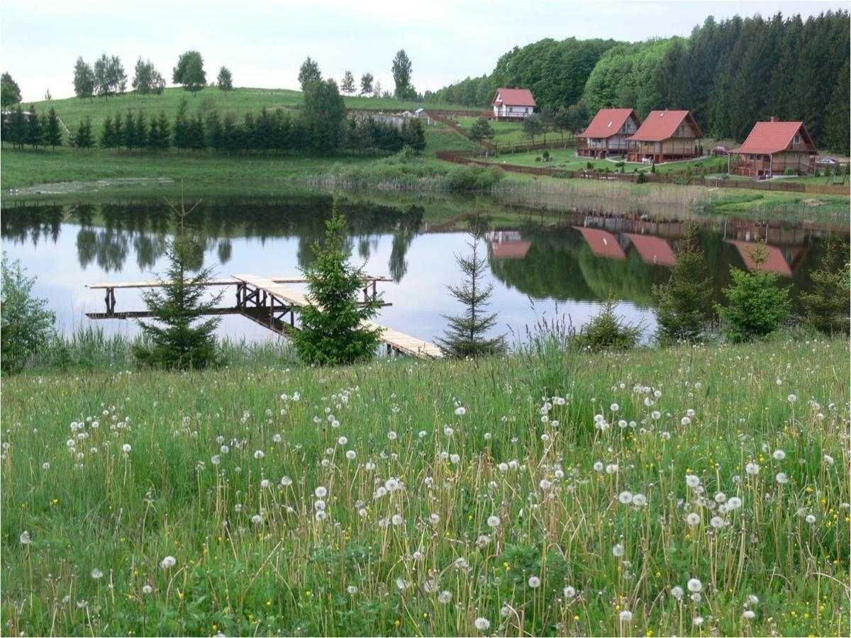 Zlota Lesniczowka Villa Rydzowka Exteriör bild
