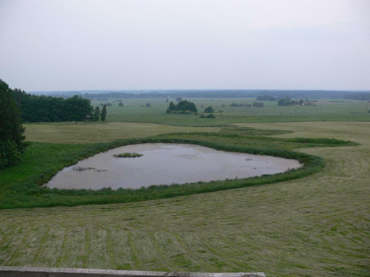 Zlota Lesniczowka Villa Rydzowka Exteriör bild
