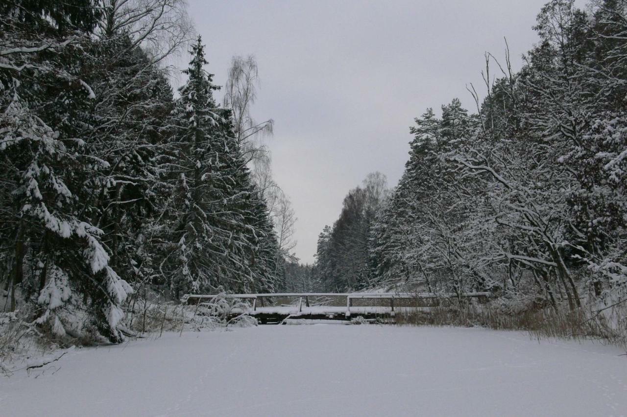 Zlota Lesniczowka Villa Rydzowka Exteriör bild