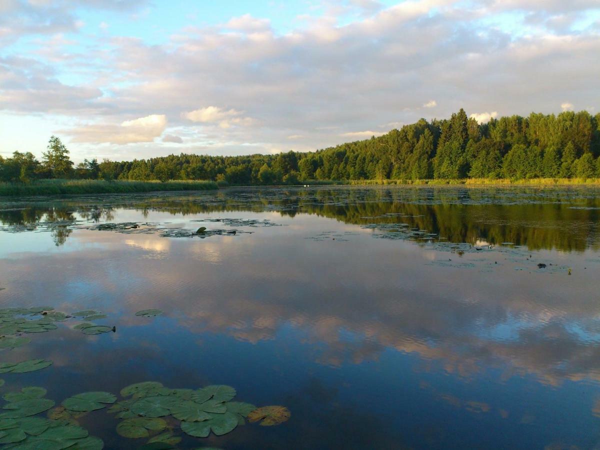 Zlota Lesniczowka Villa Rydzowka Exteriör bild